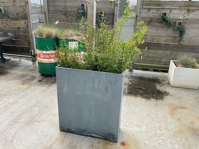 Plantenbak (4x) - afbeelding 2 van  4