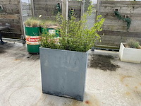 Plantenbak (4x) - afbeelding 2 van  4