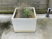 Plantenbak (4x) - afbeelding 1 van  4