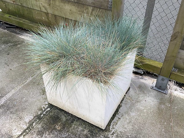 Plantenbak (4x) - afbeelding 2 van  4