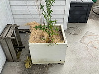 Plantenbak (4x) - afbeelding 3 van  4