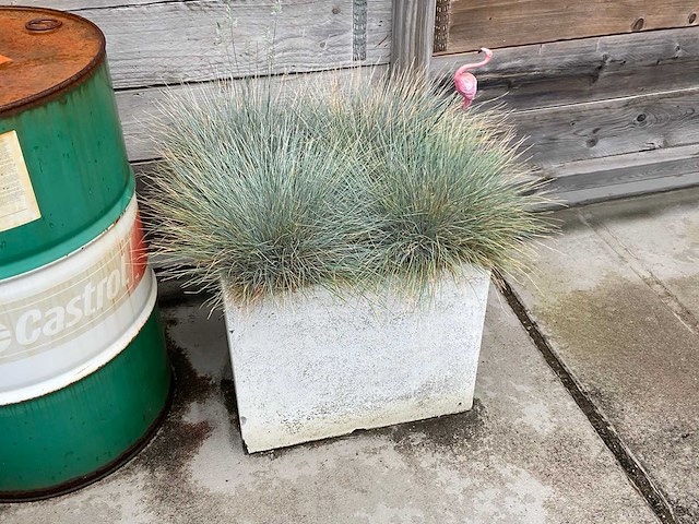 Plantenbak (4x) - afbeelding 4 van  4
