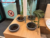 Plantenbak (4x) - afbeelding 1 van  3