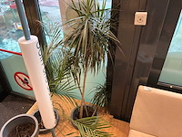 Plantenbak (4x) - afbeelding 3 van  3