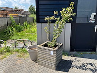 Plantenbak (4x) - afbeelding 1 van  5