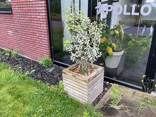 Plantenbak (4x) - afbeelding 4 van  5