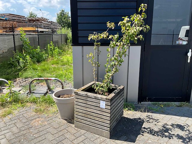 Plantenbak (4x) - afbeelding 1 van  5