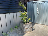 Plantenbak (4x) - afbeelding 2 van  5