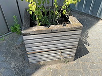 Plantenbak (4x) - afbeelding 3 van  5