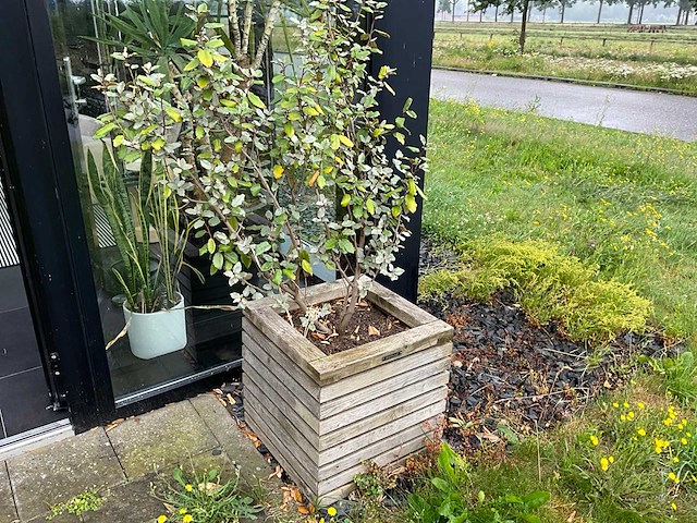 Plantenbak (4x) - afbeelding 5 van  5
