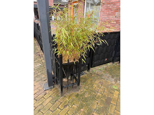 Plantenbak (5x) - afbeelding 3 van  4