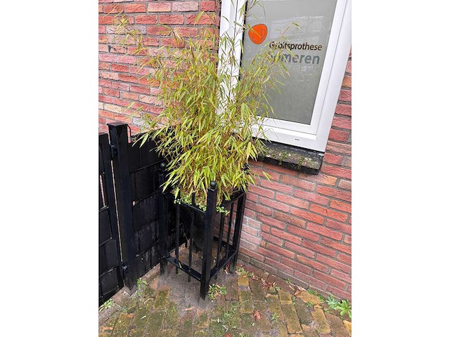 Plantenbak (5x) - afbeelding 4 van  4