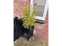 Plantenbak (5x) - afbeelding 4 van  4