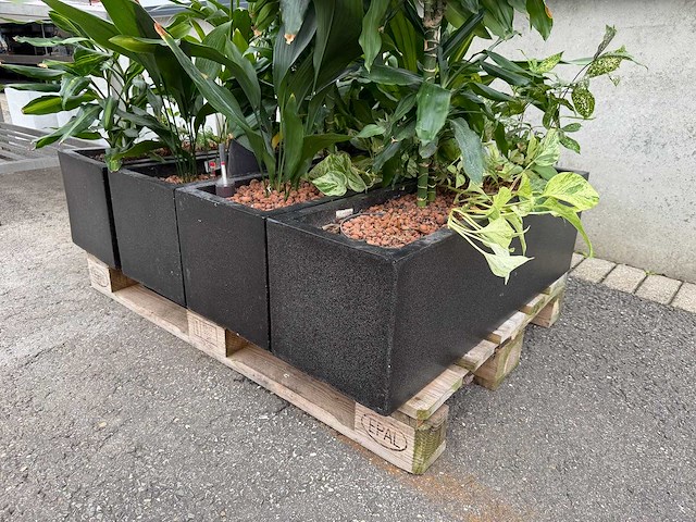 Plantenbak (5x) - afbeelding 1 van  1