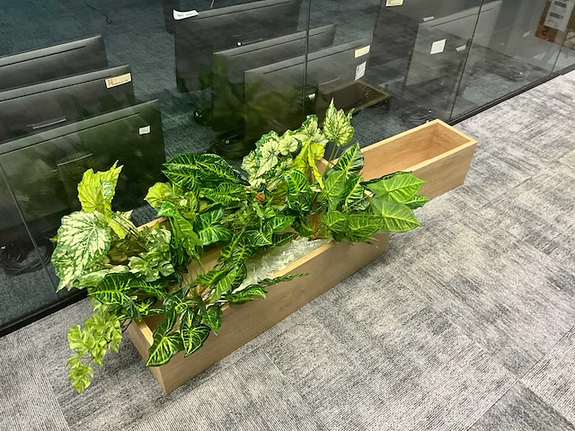 Plantenbak (5x) - afbeelding 6 van  6
