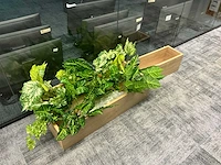 Plantenbak (5x) - afbeelding 6 van  6