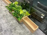 Plantenbak (5x) - afbeelding 4 van  6