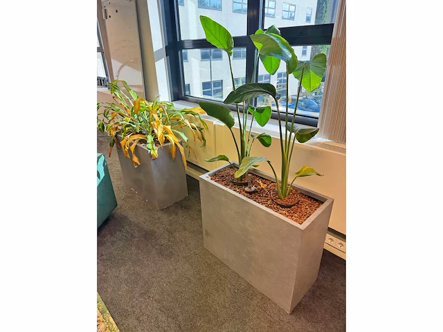 Plantenbak 76x35x63cm (4x) - afbeelding 1 van  2