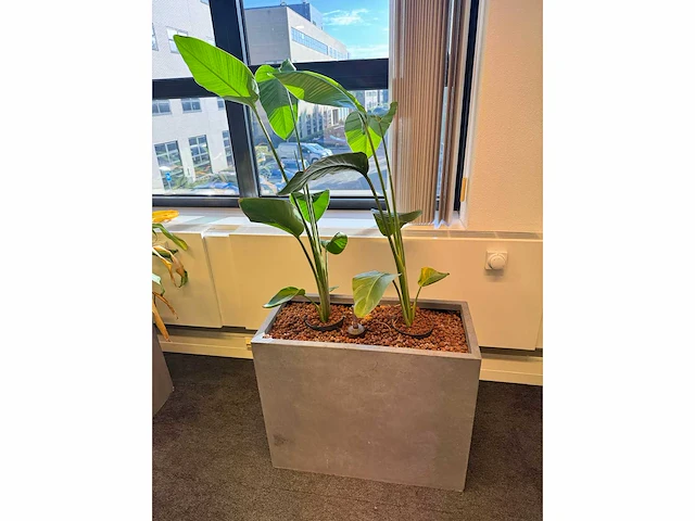 Plantenbak 76x35x63cm (4x) - afbeelding 2 van  2