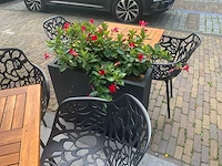Plantenbak 80x30x68 cm (4x) - afbeelding 9 van  9