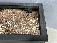 Plantenbak 80x30x68 cm - afbeelding 5 van  7
