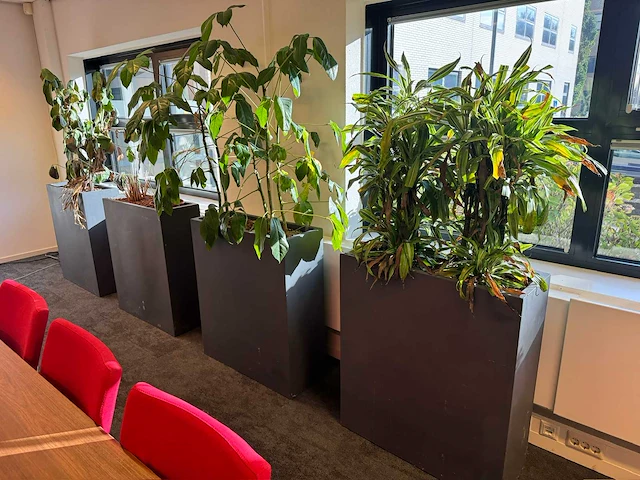 Plantenbak 81x31x93cm (2x) - afbeelding 1 van  5