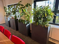 Plantenbak 81x31x93cm (2x) - afbeelding 1 van  5