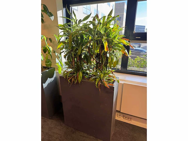 Plantenbak 81x31x93cm (2x) - afbeelding 2 van  5