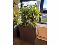 Plantenbak 81x31x93cm (2x) - afbeelding 2 van  5