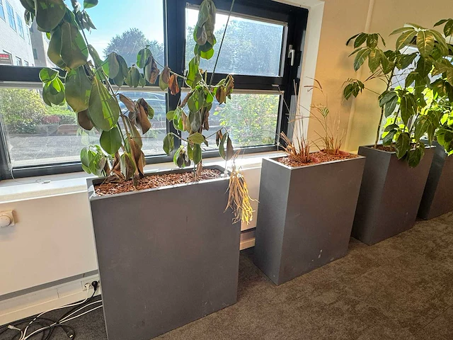 Plantenbak 81x31x93cm (2x) - afbeelding 3 van  5
