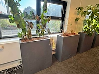 Plantenbak 81x31x93cm (2x) - afbeelding 3 van  5