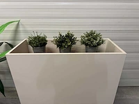Plantenbak (8x) - afbeelding 5 van  10