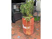 Plantenbak drum (3x) - afbeelding 4 van  8