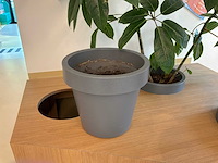 Plantenbak gray (3x) - afbeelding 2 van  3