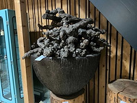 Plantenbak kunststof hout stronken presentatie - afbeelding 1 van  4