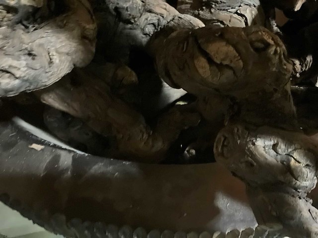 Plantenbak kunststof hout stronken presentatie - afbeelding 4 van  4