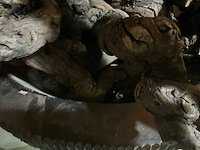 Plantenbak kunststof hout stronken presentatie - afbeelding 4 van  4