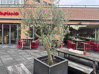 Plantenbak met boom - afbeelding 2 van  4