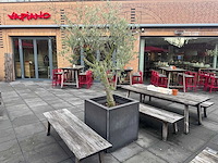 Plantenbak met boom - afbeelding 1 van  4