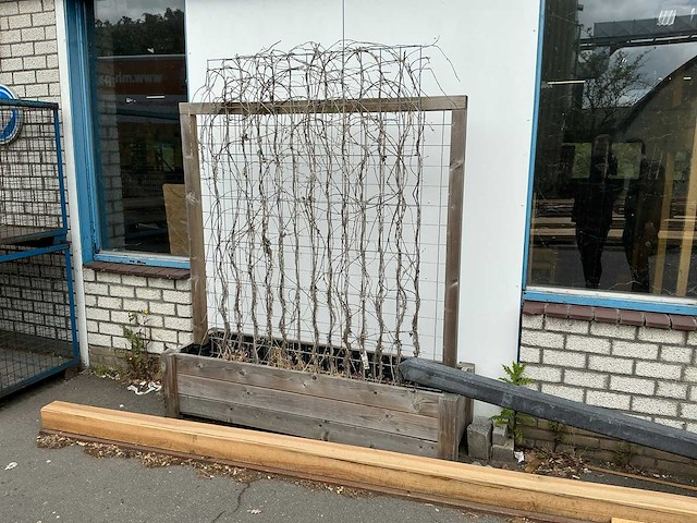 Plantenbak met hek - afbeelding 1 van  7