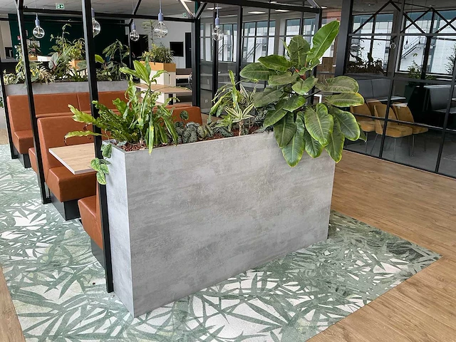 Plantenbak met planten - afbeelding 1 van  4