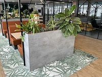 Plantenbak met planten
