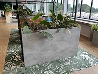 Plantenbak met planten
