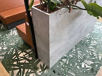 Plantenbak met planten - afbeelding 2 van  5