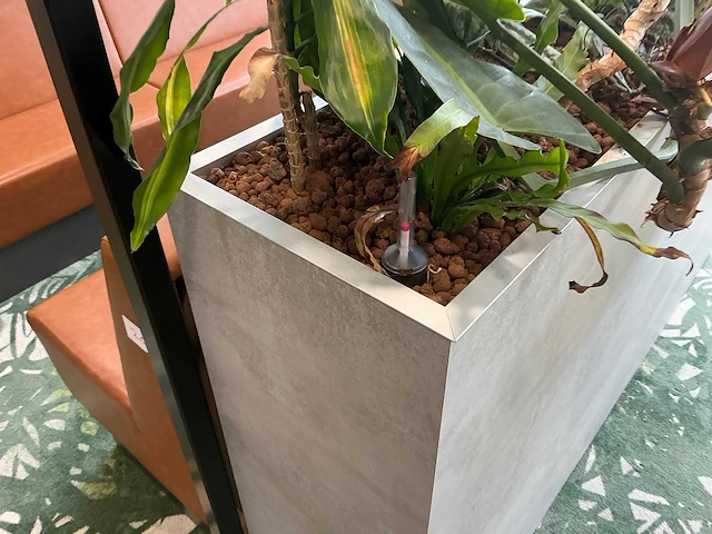 Plantenbak met planten - afbeelding 3 van  5