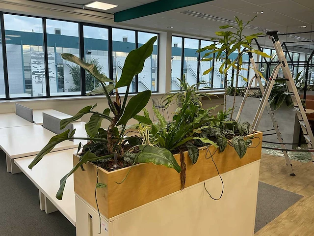 Plantenbak met planten - afbeelding 1 van  5