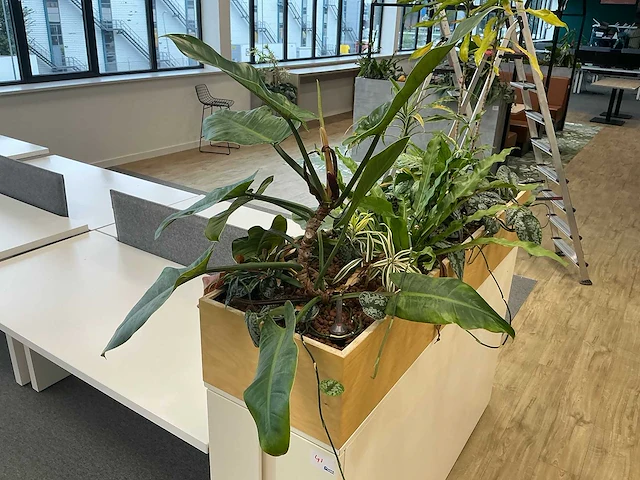 Plantenbak met planten - afbeelding 2 van  5