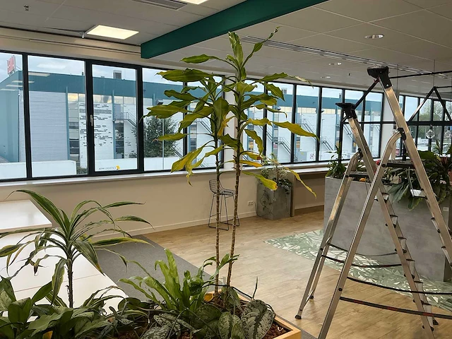 Plantenbak met planten - afbeelding 4 van  5