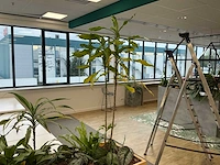 Plantenbak met planten - afbeelding 4 van  5