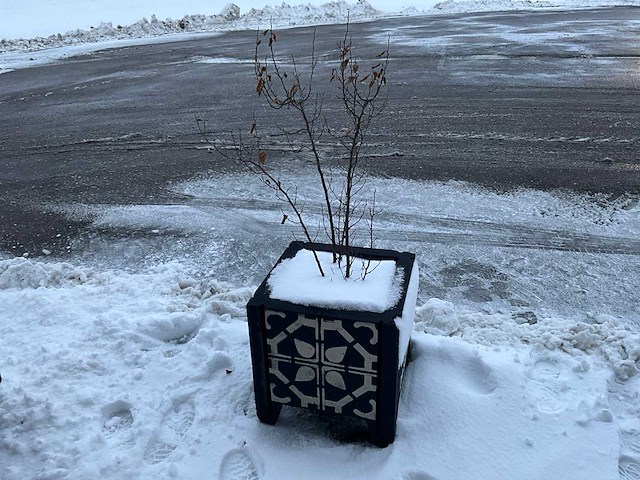 Plantenbak terras beton (9x) - afbeelding 1 van  9